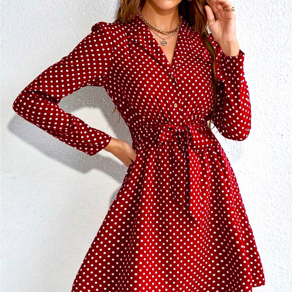 Red Polka Dot Print Button Front
Belted Shirt Dress size 8